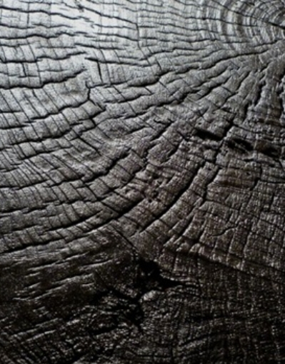 Detailed texture of black charred construction wood