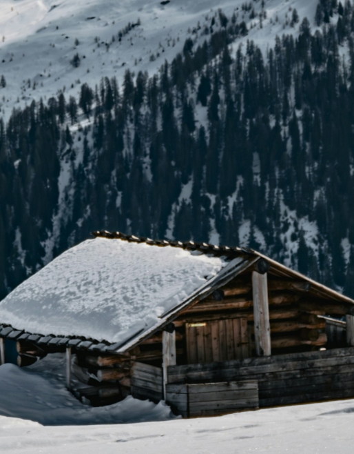 Exterior view of a traditional alpine chalet under the snow