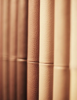 Detail of luxury leather upholstery