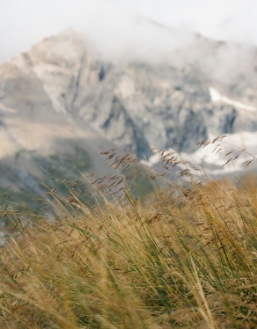 Sommets montagneux et herbes hautes sauvages par Hans Ott