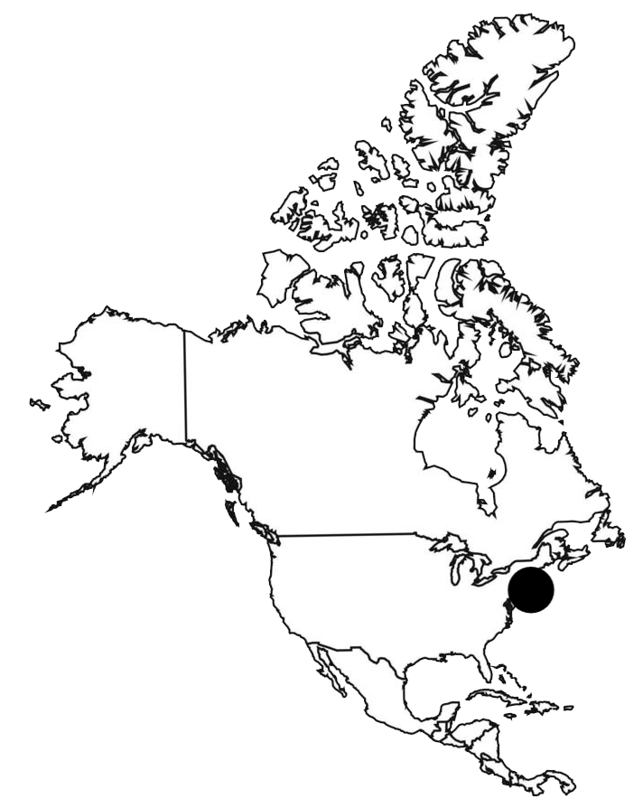 Zoom sur la carte d'Amérique du Nord